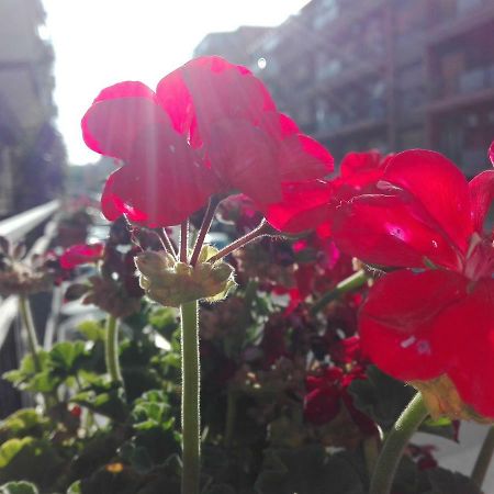 Bed and Breakfast Cataniaedintorni Exterior foto